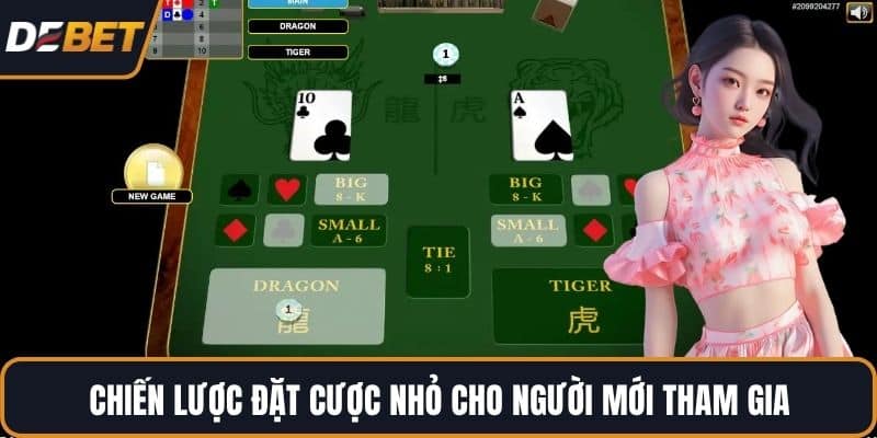 Chiến lược đặt cược nhỏ cho người mới tham gia