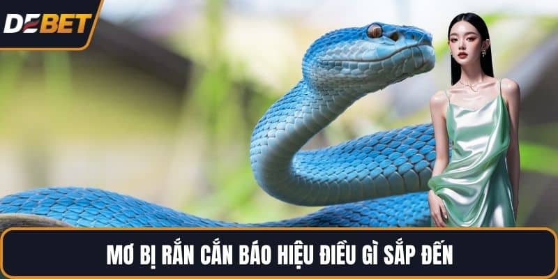 Mơ bị rắn cắn báo hiệu điều gì sắp đến