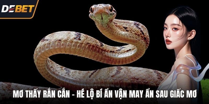 Mơ thấy rắn cắn